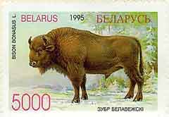 Beloruska marka