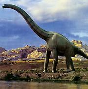 Дуговрати див