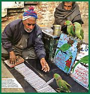 АХ, ТА СУДБИНА