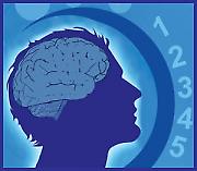 Да ли постоји само пет чула?