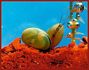  Забавников ЗОО