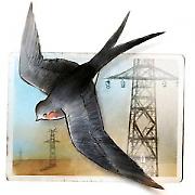 За читање и уживање