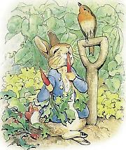 10 најлепших прича о животињама